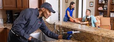 Reliable Edwardsville, IL Pest Control Solutions